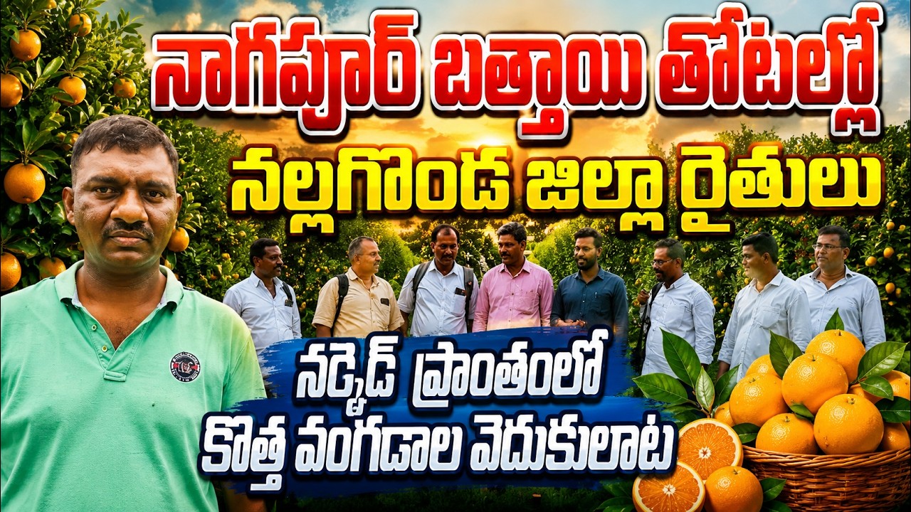 బత్తాయి రైతుల నాగపూర్ టూర్ | sweet lemon | bhumiputhra telugu
