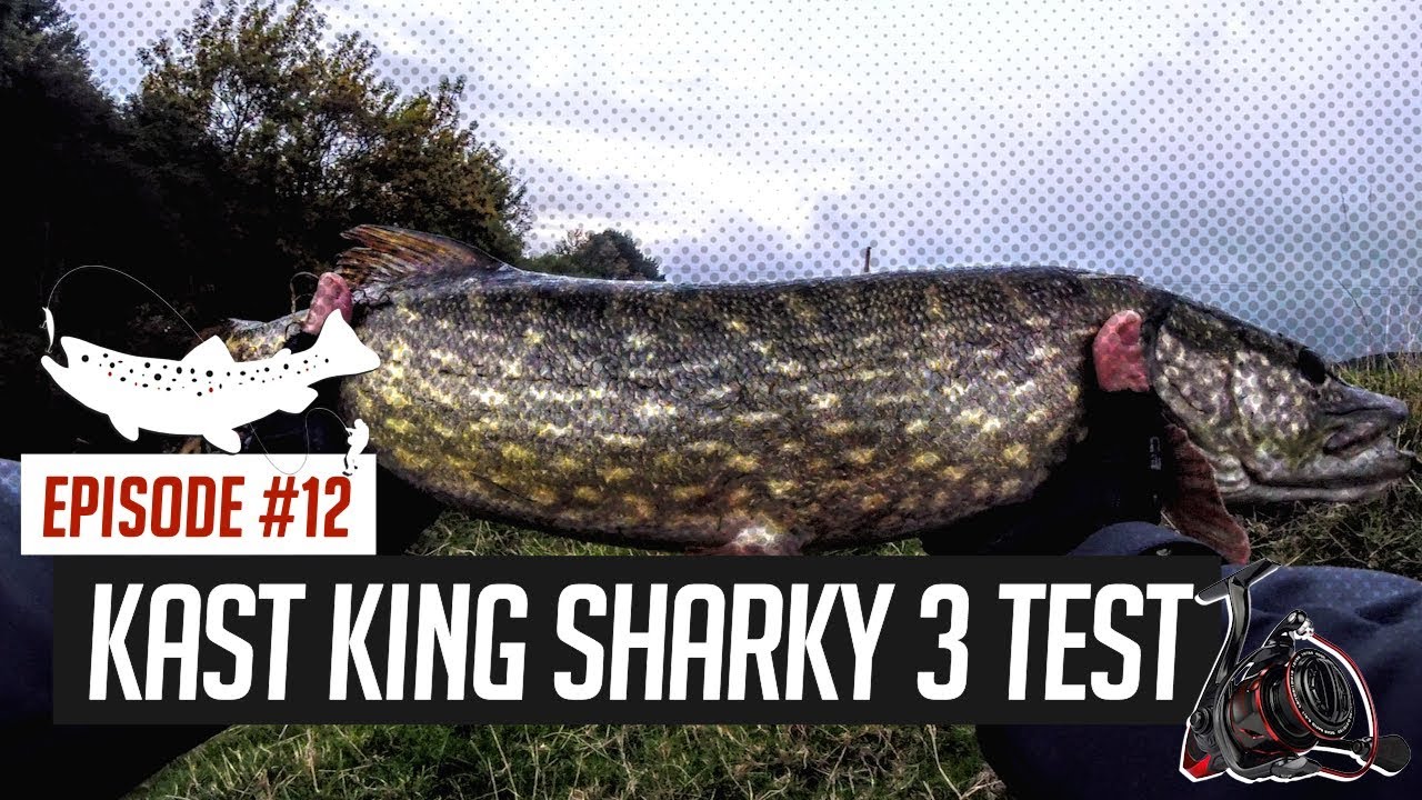 Field Testing The Kast King Sharky 3 1000 Reel Review - Trout On Lures