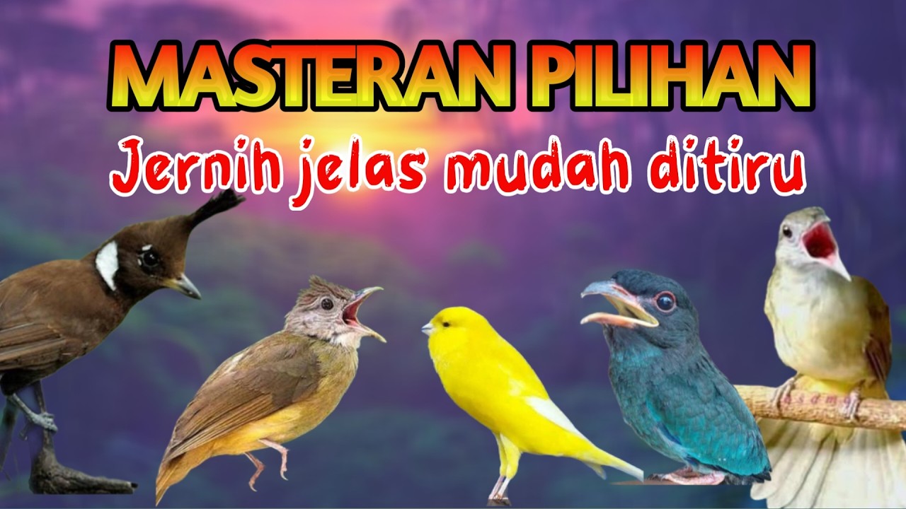 MASTERAN MURAI BATU FULL TEMBAKAN JERNIH MUDAH DITIRU CEPAT MASUK ditirukan