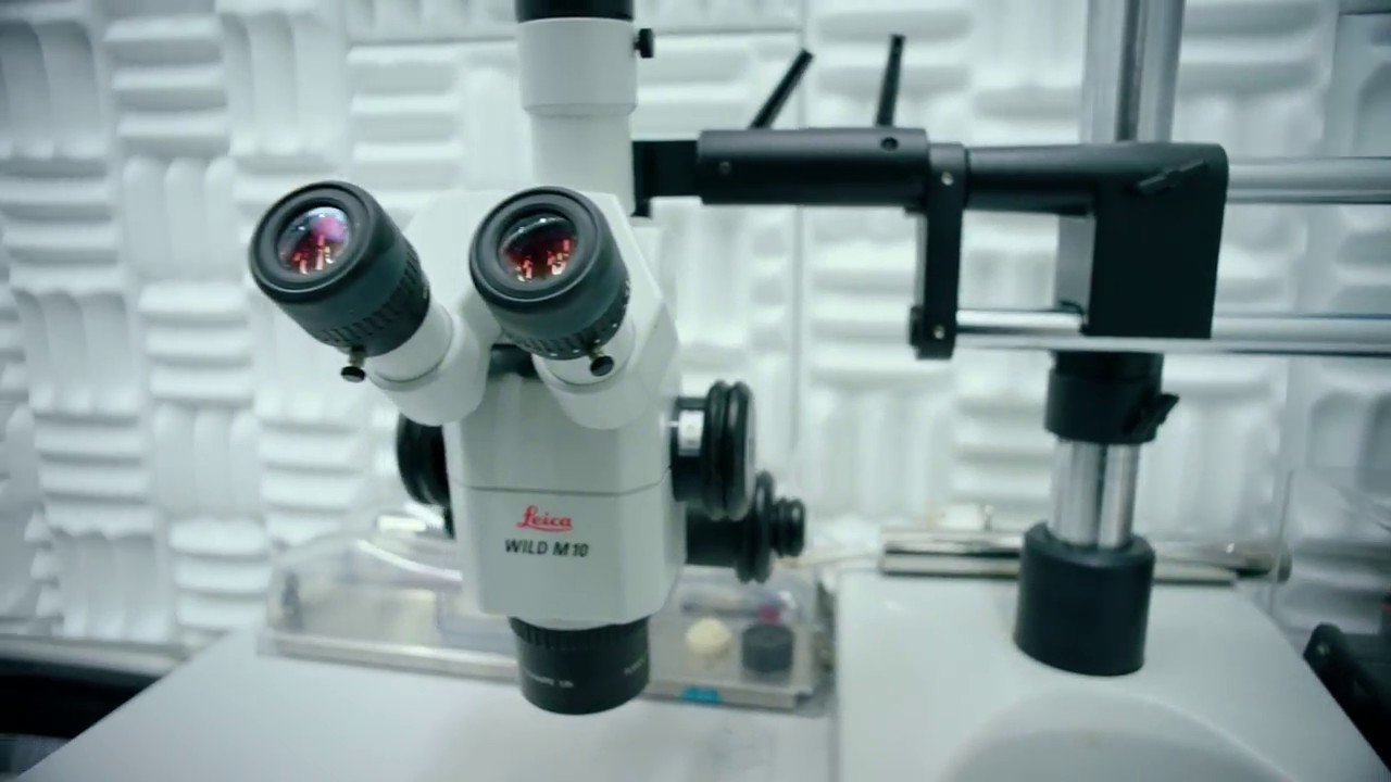 Sounds of IBM: Noise-free Labs