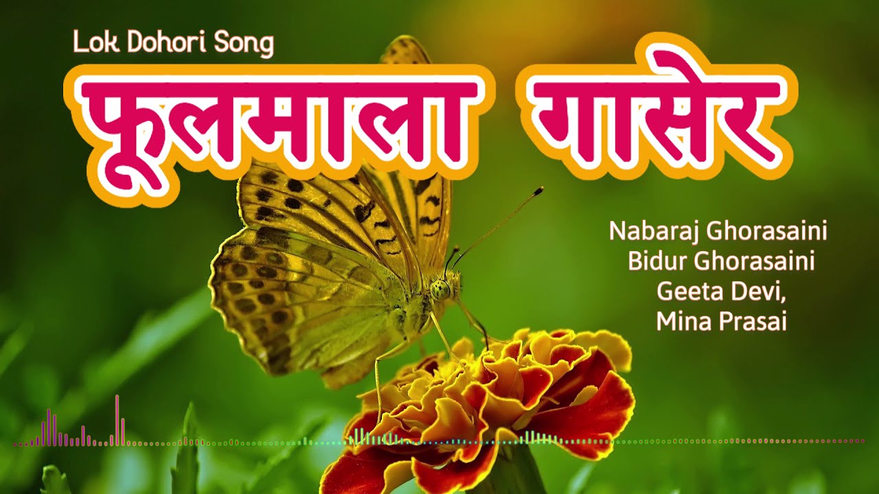 Fulmala gasera | Nabaraj Ghorasaini|  Bidur Ghorasaini| Geeta Devi| Mina Prasai| Lok Dohori  Song