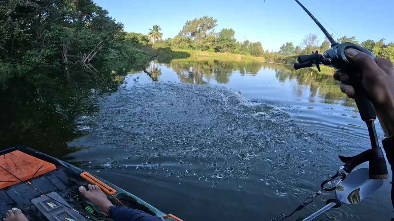 O coração quase parou, Um ataque brutal. O sonho de todo pescador.