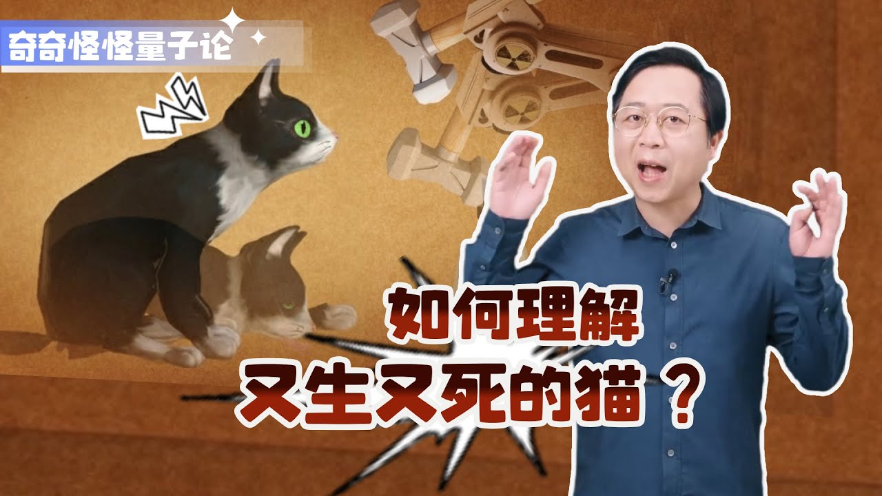 奇奇怪怪量子论10：【神奇，但不神秘】薛定谔的猫：量子力学中最诡异的思想实验