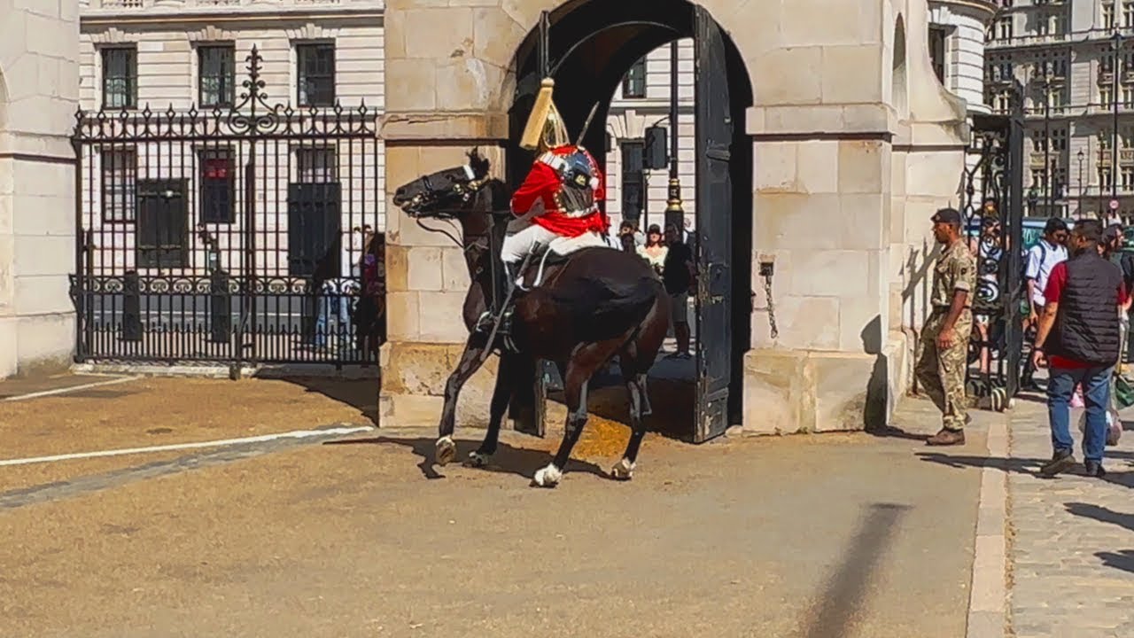 Tourist's Foolish Behavior Nearly Unseats King's Guard from Horse