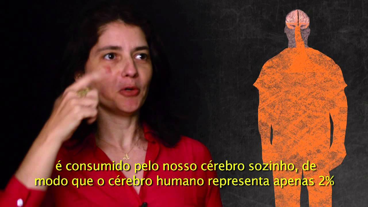 BrainStorm - What makes the human brain so special? - Suzana Herculano-Houzel