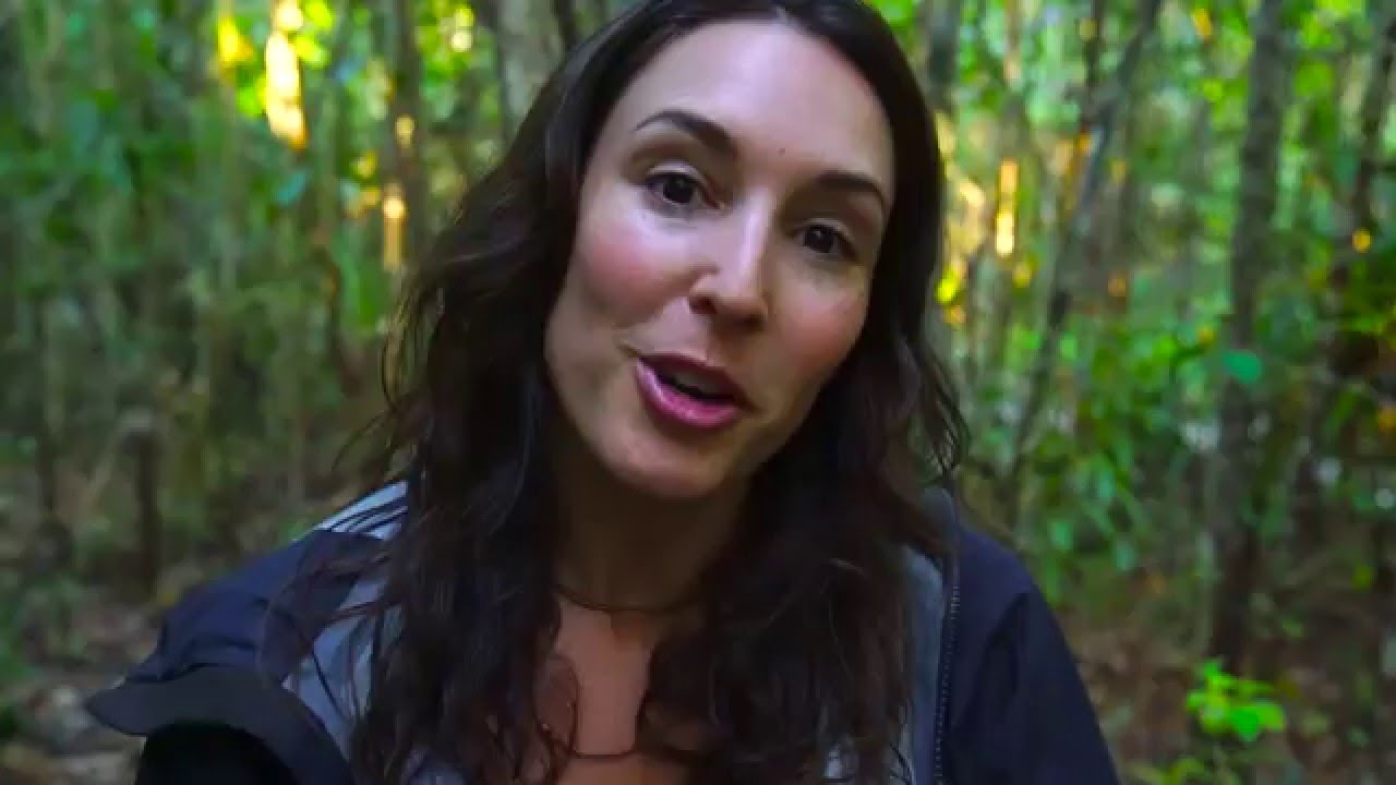 Hahnel Captur Module Pro in Madagascar with Shannon Wild