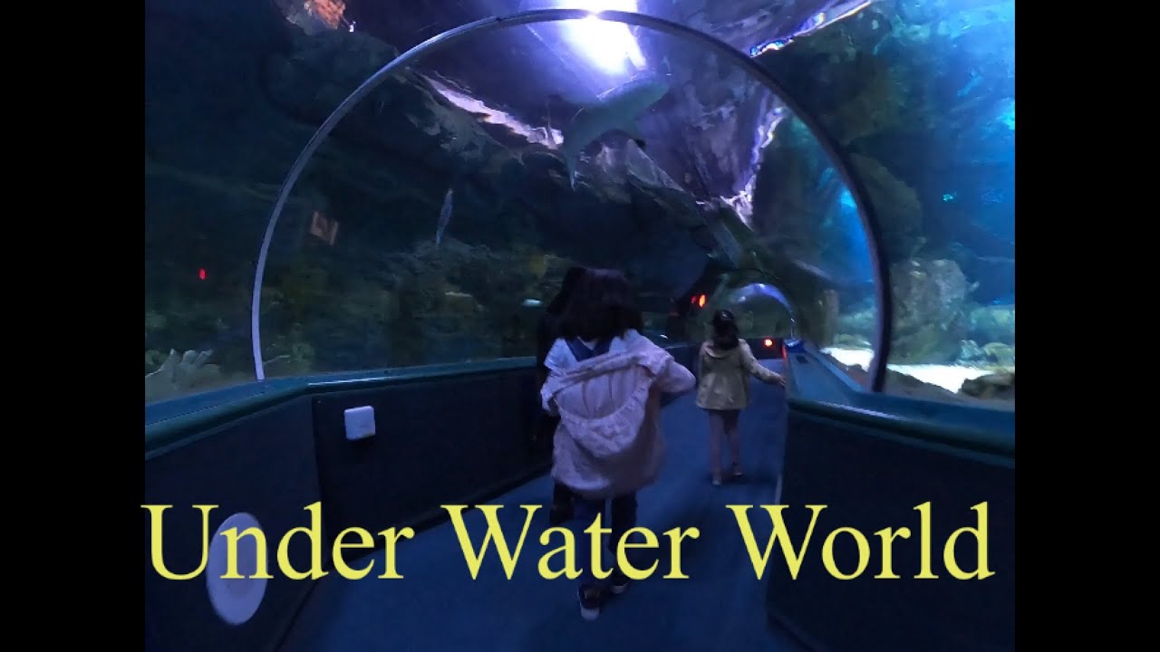 A day at Under Water World