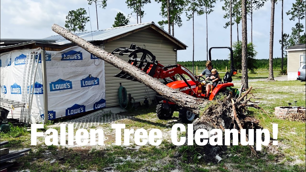 Removing Fallen Tree w/ 25hp Tractor