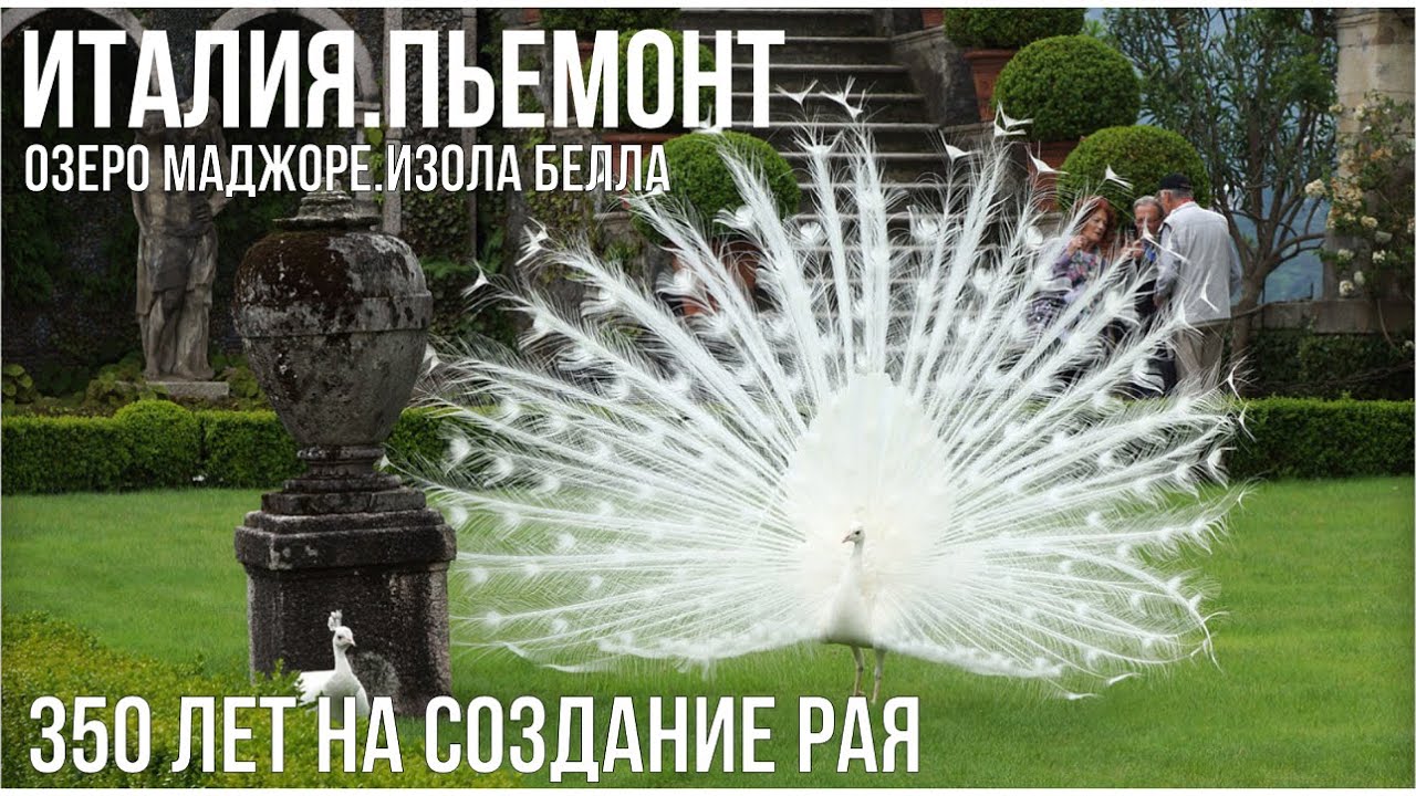Италия.Пьемонт.Самый красивый остров озера Маджоре. #путешествиепоиталии