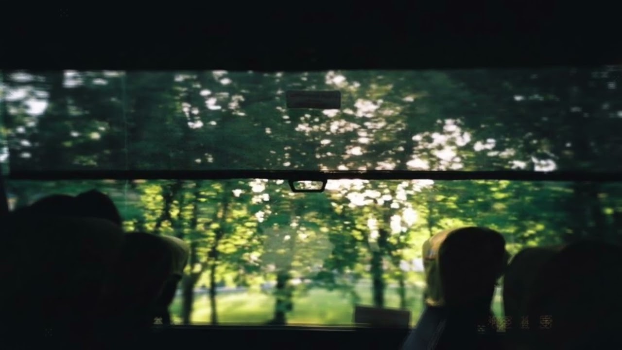 Animal Noises Beabadoobee (slowed + reverb)