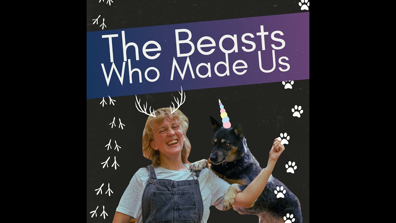 Lucia Oberste (Frolic Dog Training): Rescue Trauma, Ego Death & Self Care