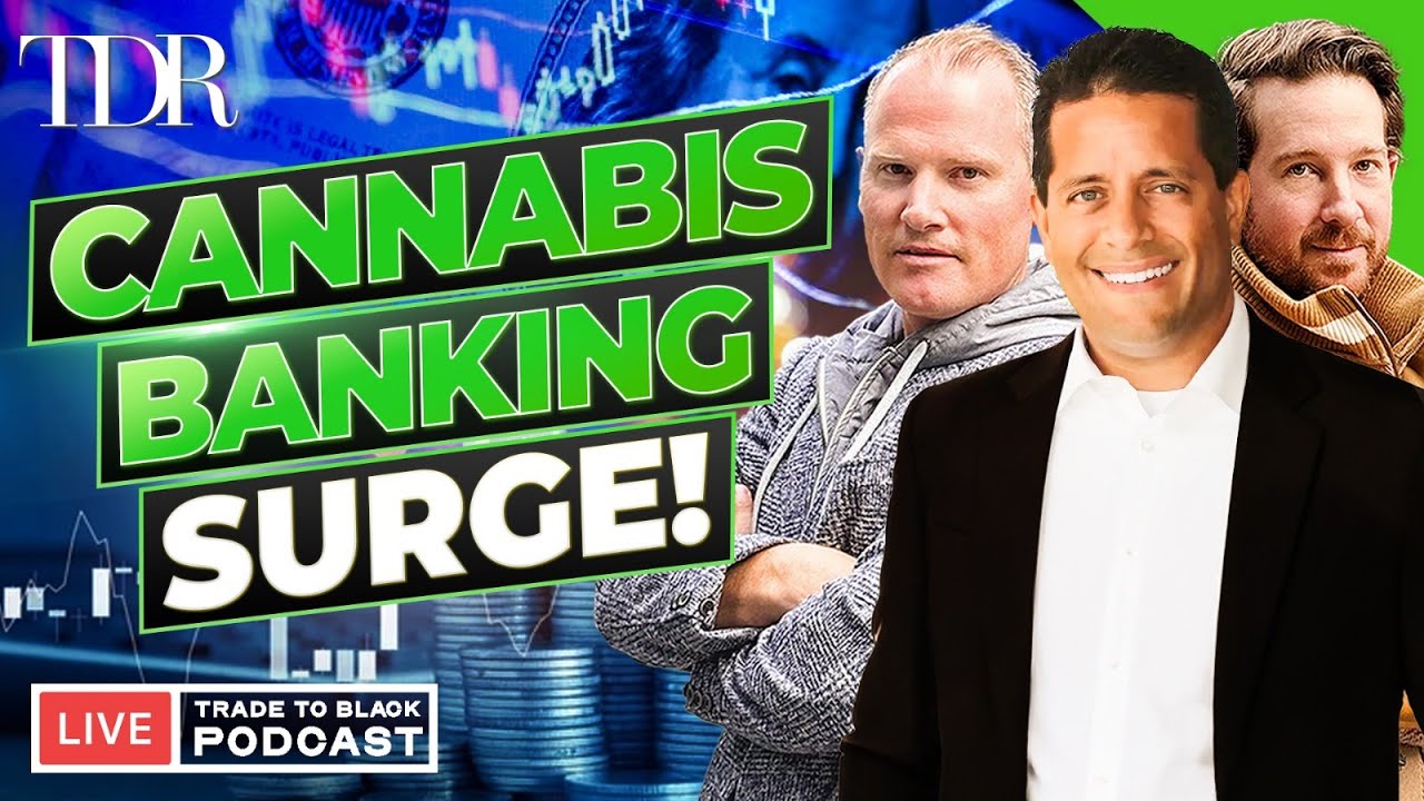 Cannabis Banking Grows As Reform Looms | TTB Powered by Flowhub