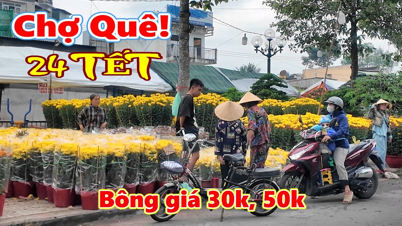 Chiều Mưa Tràn Ngập Hoa Kiểng giá rẻ Chợ Quê Cai Lậy ngày 24 Tết