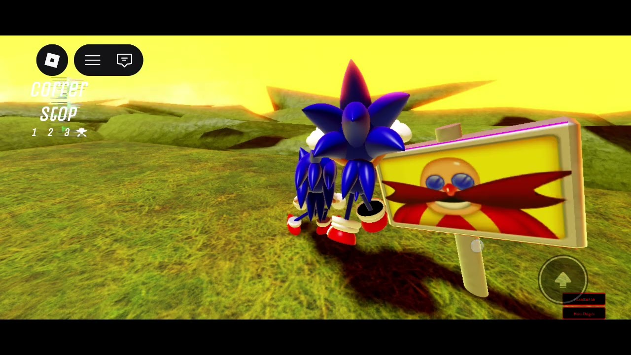 Sonic correndo do Sonic. Exe