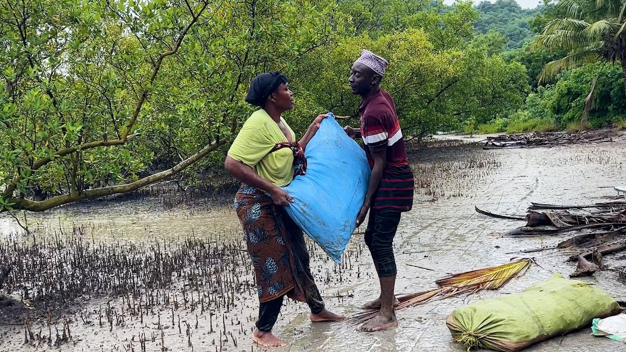 How we are saving the Pangani Mangroves 🌱