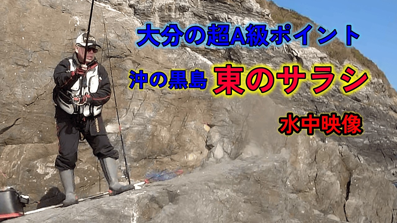 （貴重）東のサラシの水中映像
