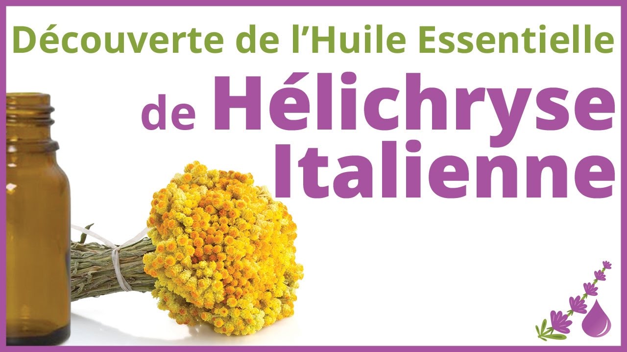 Hélichryse Italienne (Immortelle) - L'Huile Essentielle Magique 🤩 - Dr Françoise Couic Marinier