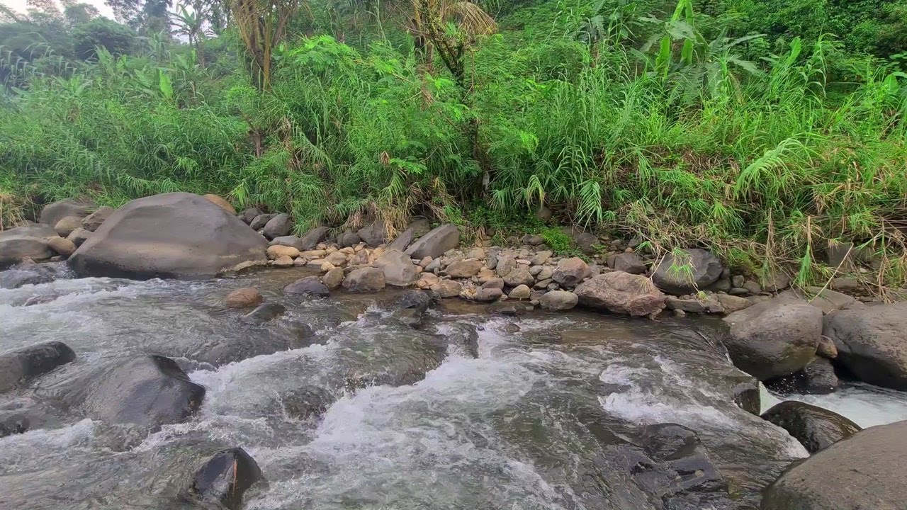 Quiet River at Night – Moonlit Water Flow Ambience for Comforting Deep Sleep