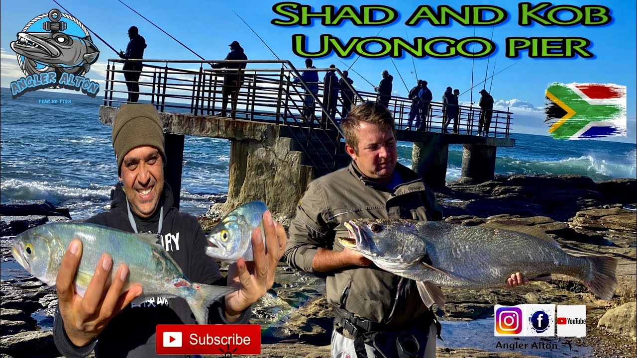 Fishing for Shad and Kob at Uvongo Pier  - Fishing in KZN South Coast