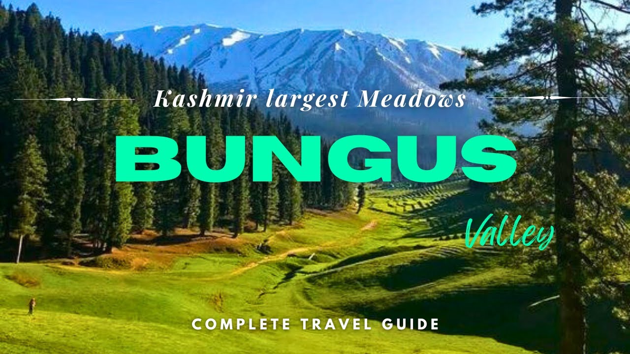 BUNGUS VALLEY  The Largest Meadows of KASHMIR | How to Reach by LOCAL Transport| Permit|Stay |Budget