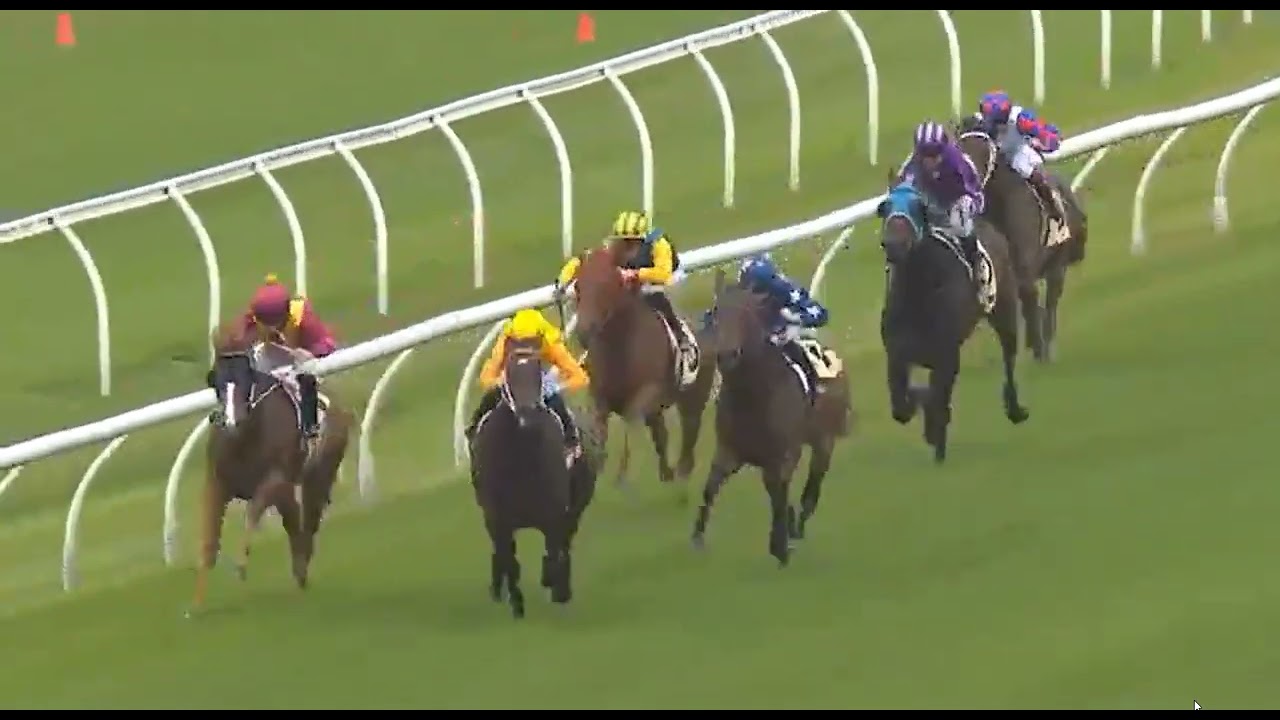 R1 WARWICK FARM AUSTRALIA -26 JAN 2026