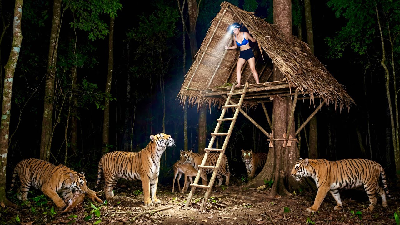 7 Days of Overnight Survival in the Jungle: A Shelter High in a Tree to Avoid Tiger Attacks