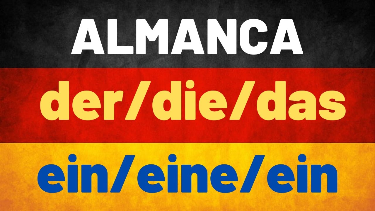 Ders 17 / Almanca A1 Temel Seviye / der-die-das-ein-eine #almancaa1  #almancaöğren