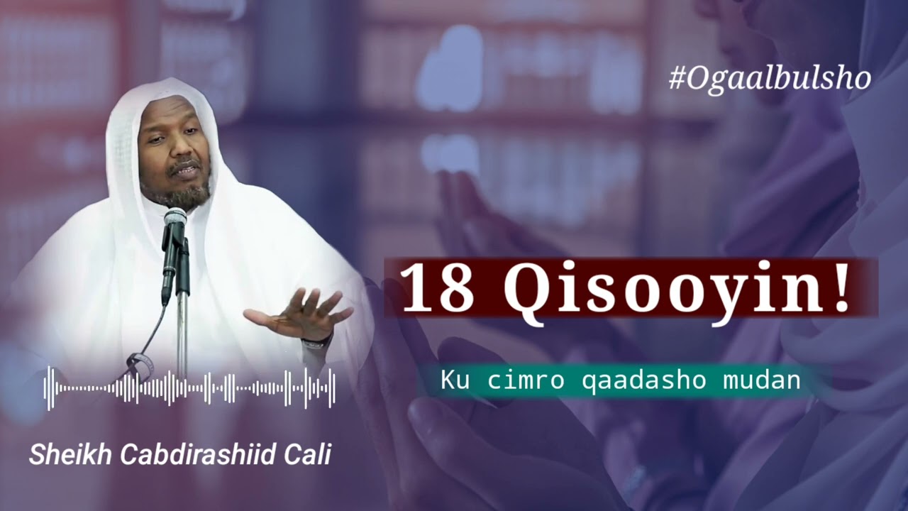 Qisooyin ku cimro qaadasho mudan || Sheekh Cabdirashiid Cali Suufi @OGAALBULSHO #qisooyin #somali