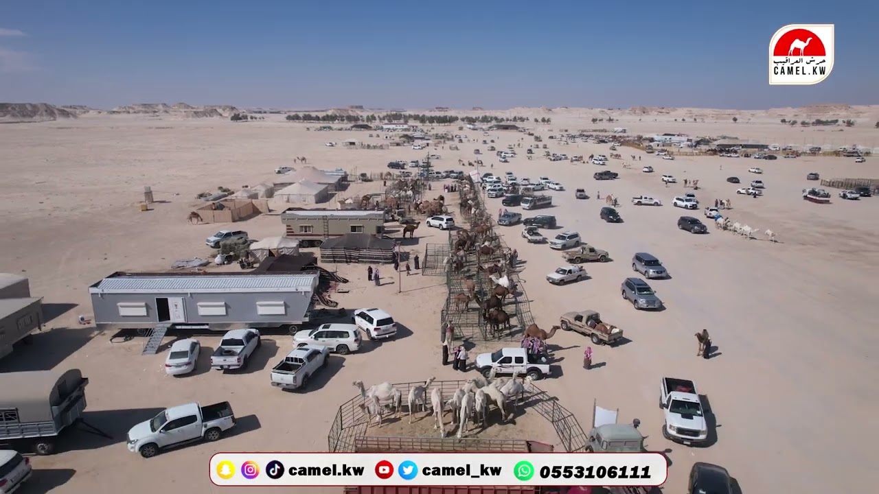زيارة رجل الأعمال الشيخ : عماش بن مبارك العمور لمخيم الشيخ عبدالله بن فلاح بن حثلين 2