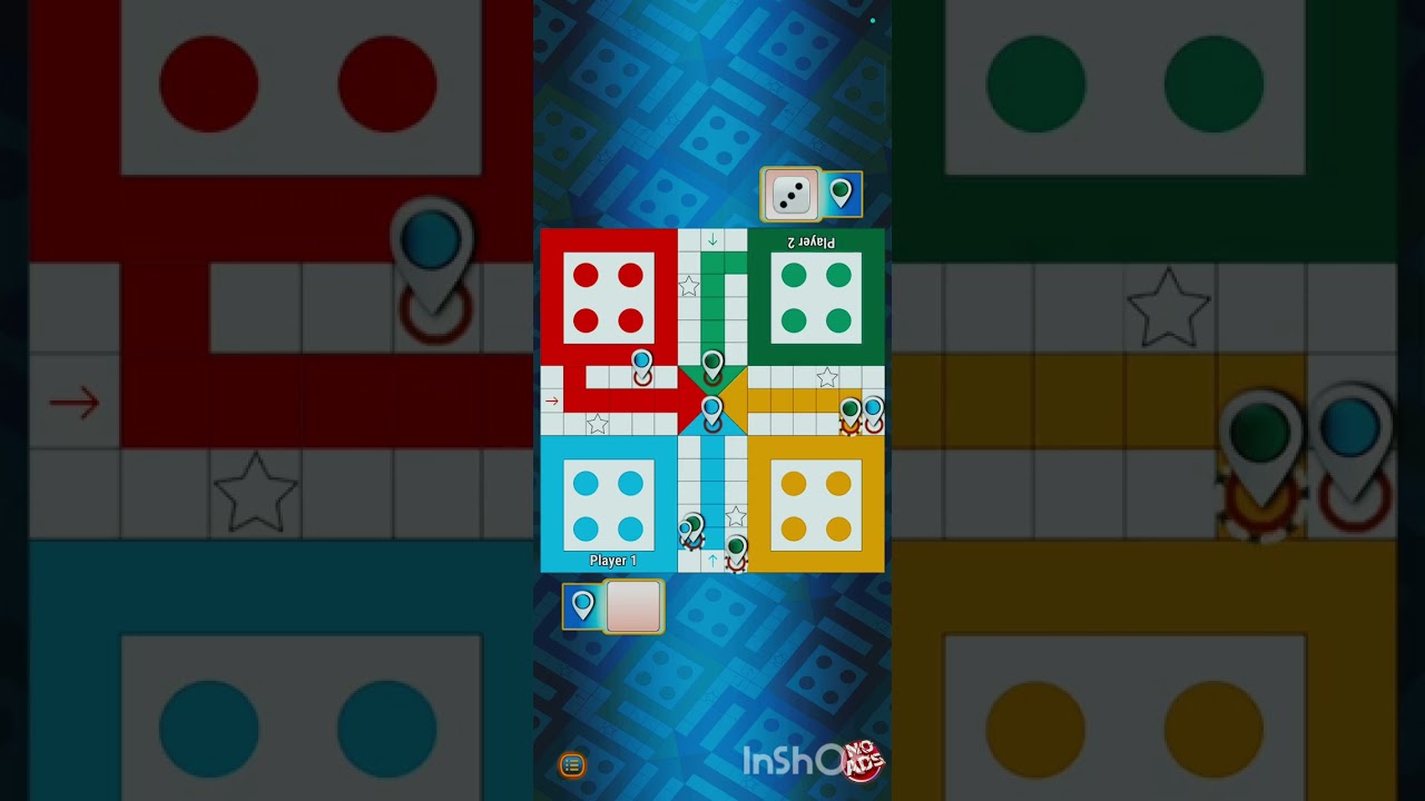 Play ludo 
