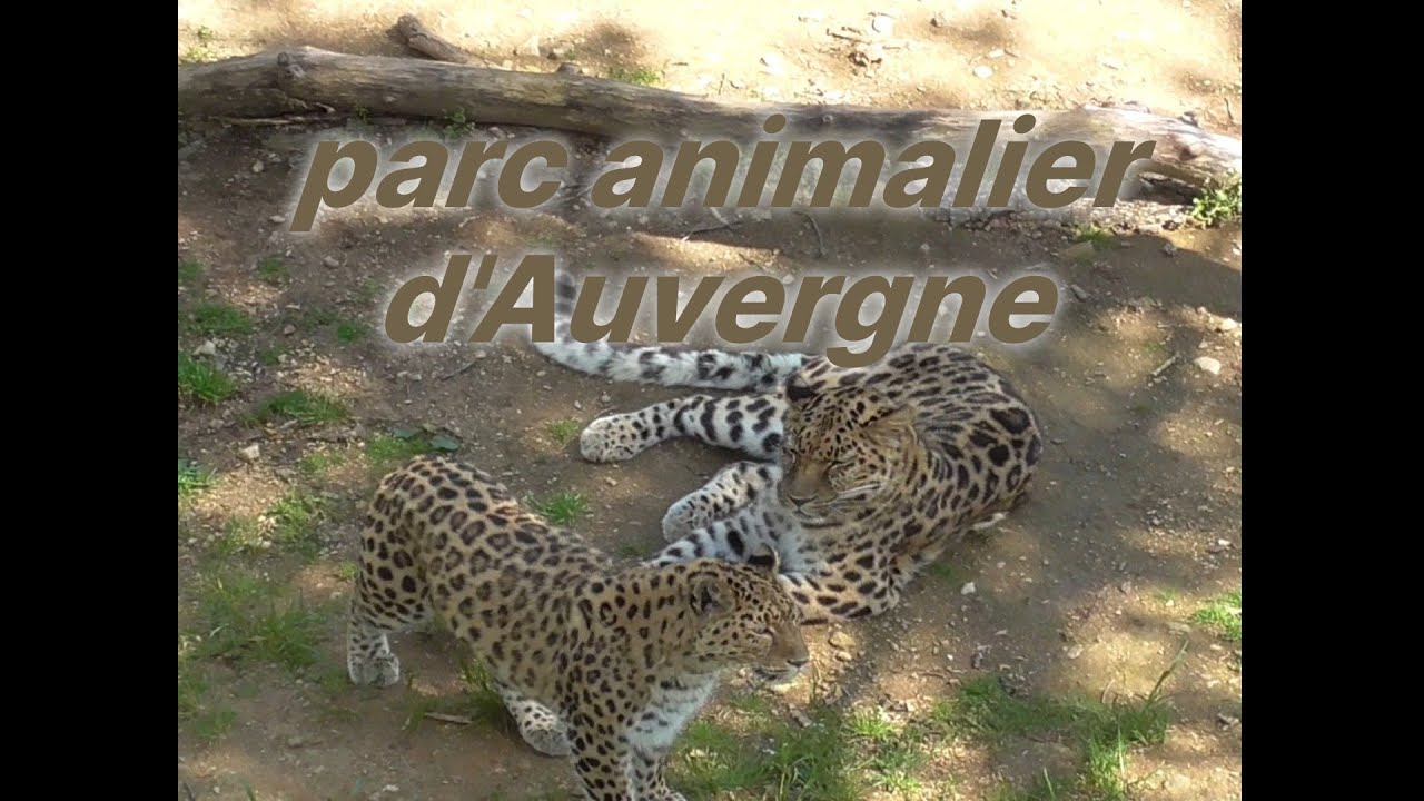 2024 Parc Animalier d'Auvergne