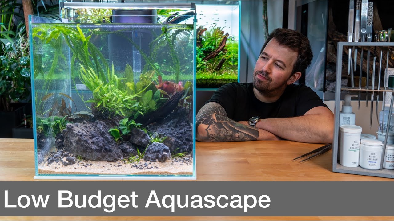 Low Budget Aquascape ohne CO2! | Liquid Nature