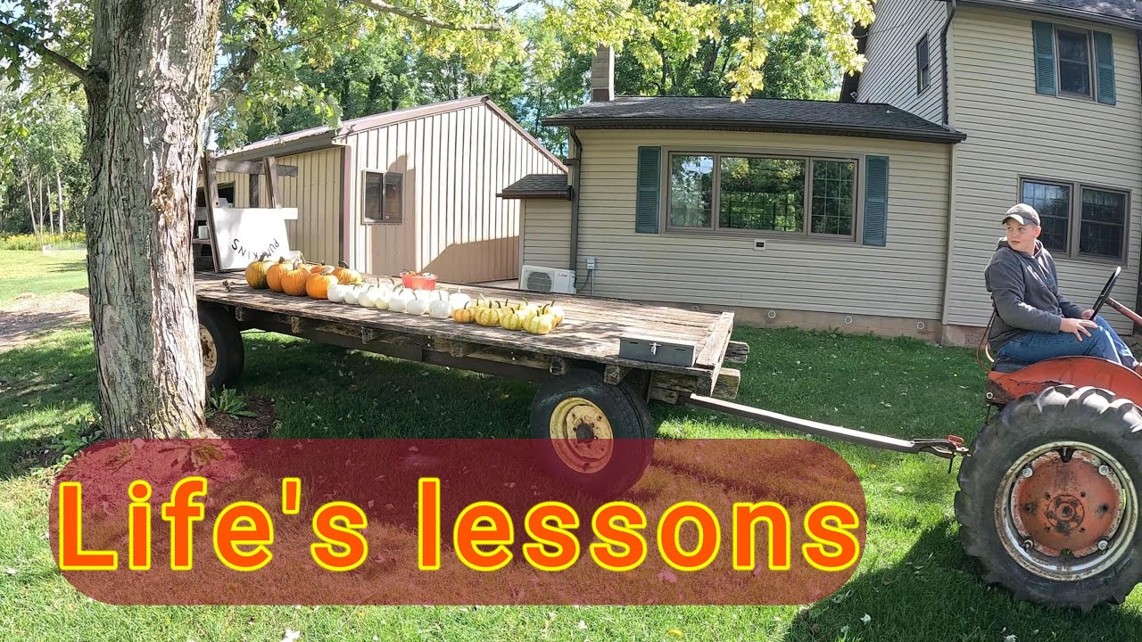 Hard-earned dollars the small farm way - Pumpkin Harvest 2024
