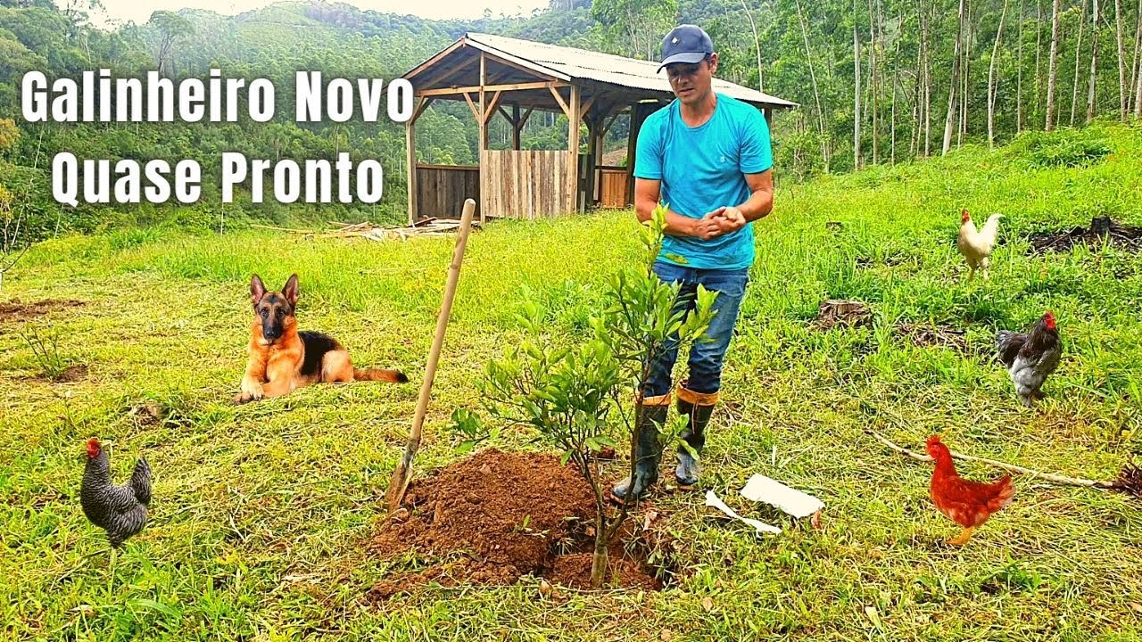 ROTINA NO SÍTIO, GALINHEIRO NOVO E PASTO PRA VACA