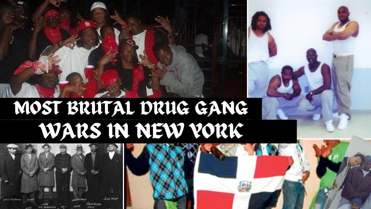 The Most Brutal Drug gang wars in New York
