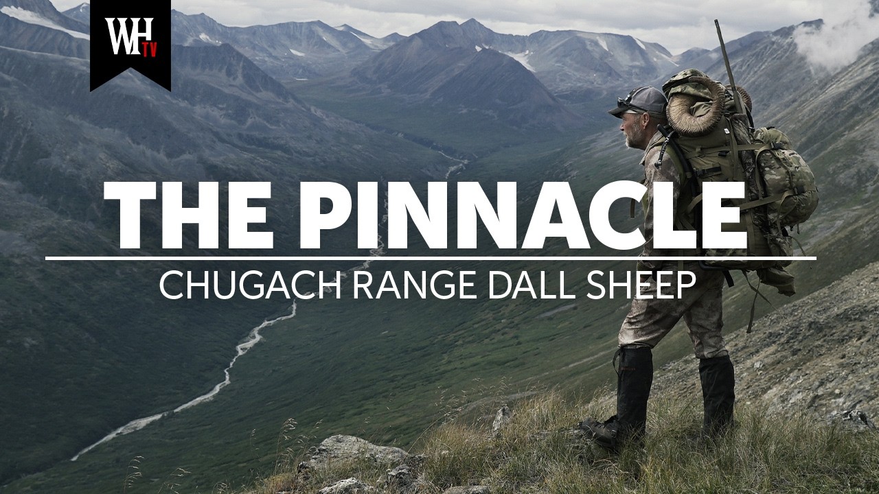 Hunting Dall Sheep in Alaska's Chugach Range | The Pinnacle
