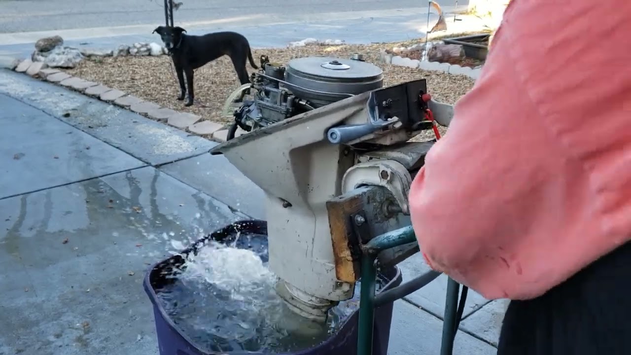 9.5 Hp Johnson Outboard *I Give Up!*