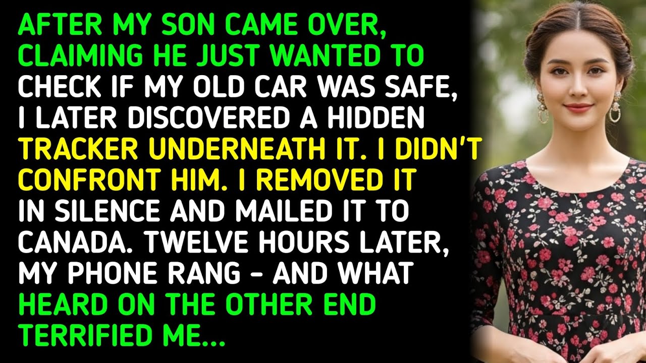 AFTER MY SON CAME OVER, CLAIMING HE JUST WANTED TO CHECK IF MY OLD CAR WAS SAFE, I LA... 