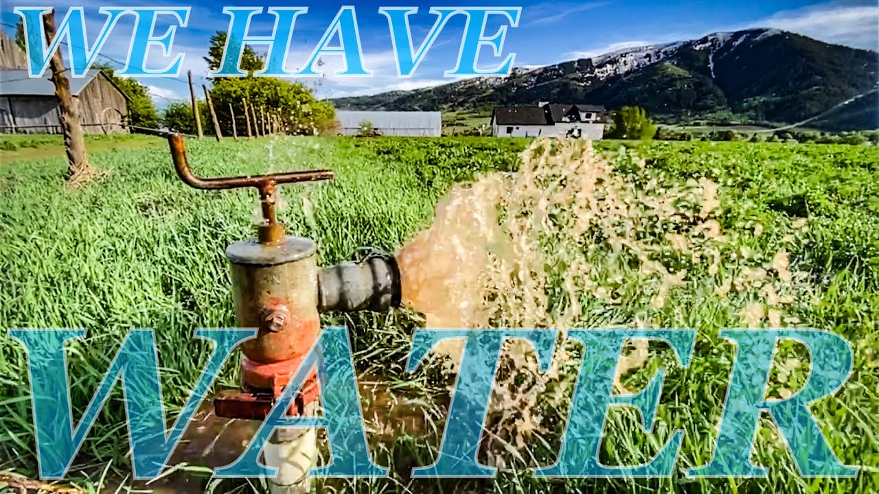 Setting Up Our First Irrigation Hand Line Sprinklers For Alfalfa Crop! | New Farmers