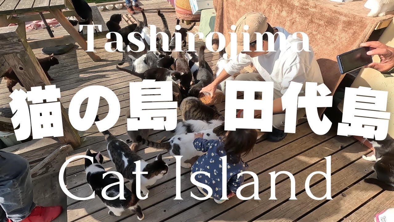【猫の島 田代島ニャン旅】宮城県石巻沖に浮かぶ、東北随一の猫島を紹介します。CAT ISLAND in Japan/Tashirojima Miyagi Prefecture Ishinomaki