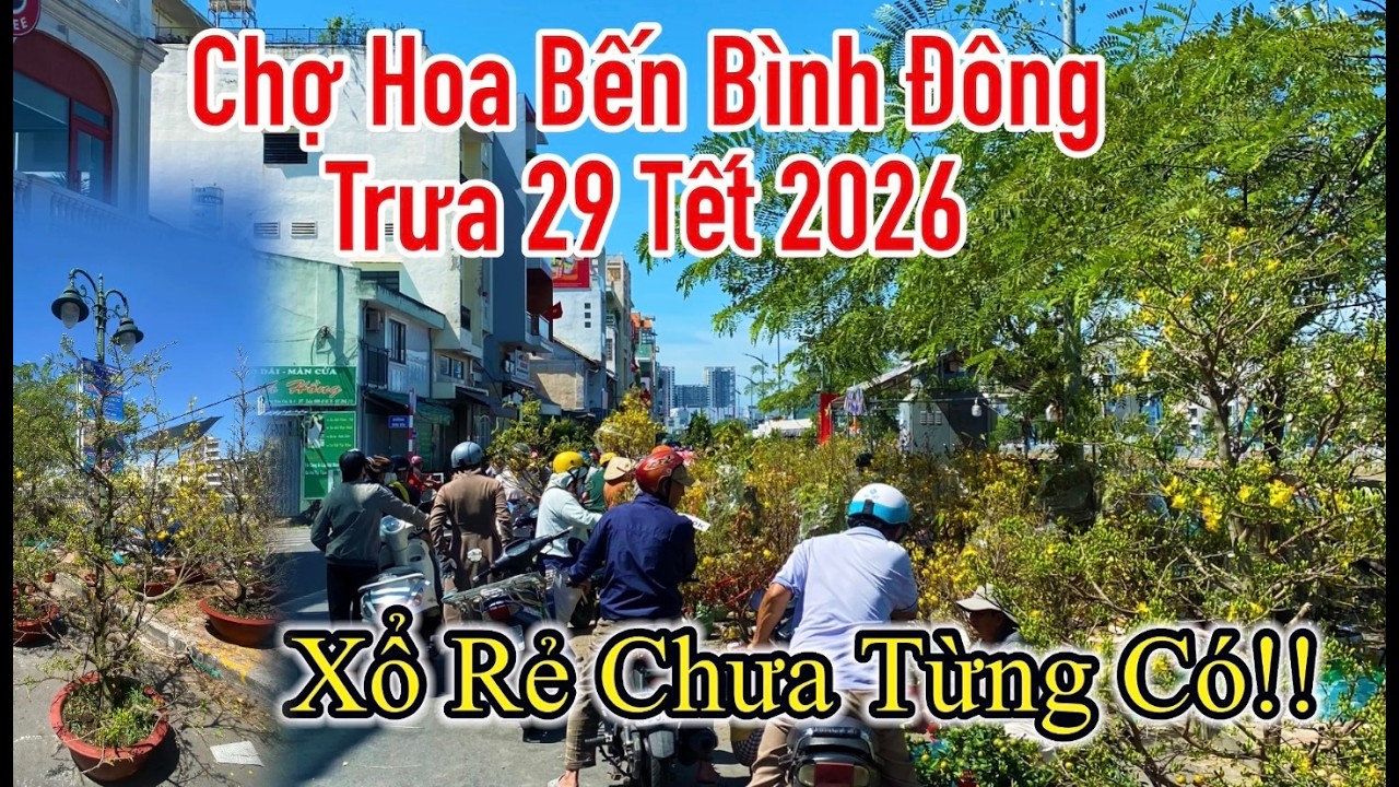 Chợ Hoa ngày 29 Tết tại Bến Bình Đông hạ giá chưa từng có, chợ hoa lớn nhất Sài Gòn 2026