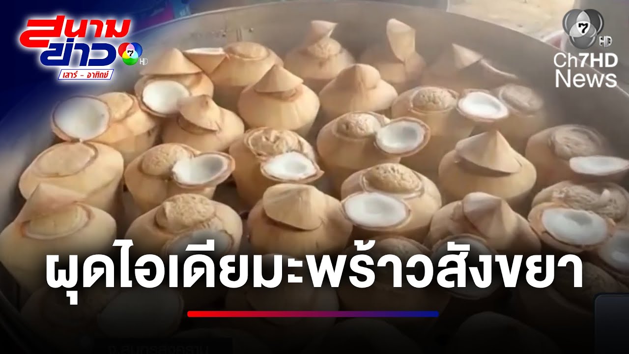 ราคาตก ! มะพร้าวเหลือลูกละ 2 บาท 