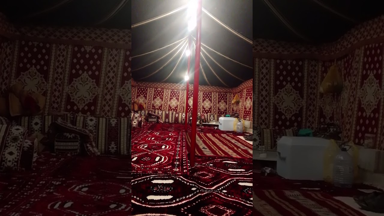 ثلاث فوائد لمحبين زراعة النباتات والاشجار البرية 