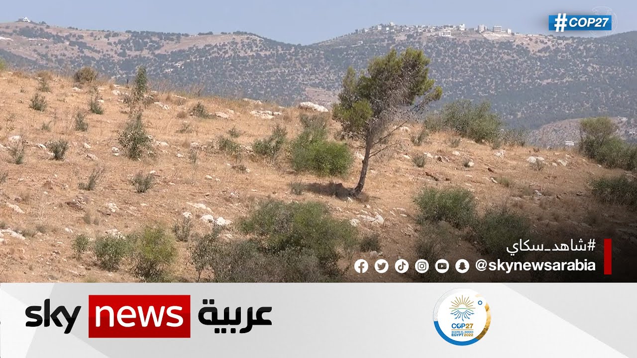 مشروع لزراعة 10 ملايين شجرة لمواجهة التصحر في الأردن | #مراسلو_سكاي | #سكاي_الأردن