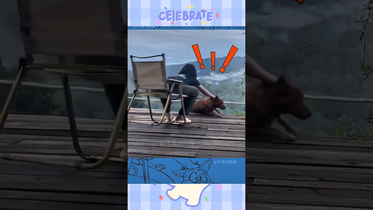 Dog&rsquo;s Cliff Drama Ends in Heroic Yank! #cutedog #funnydogs #viraldogvideo