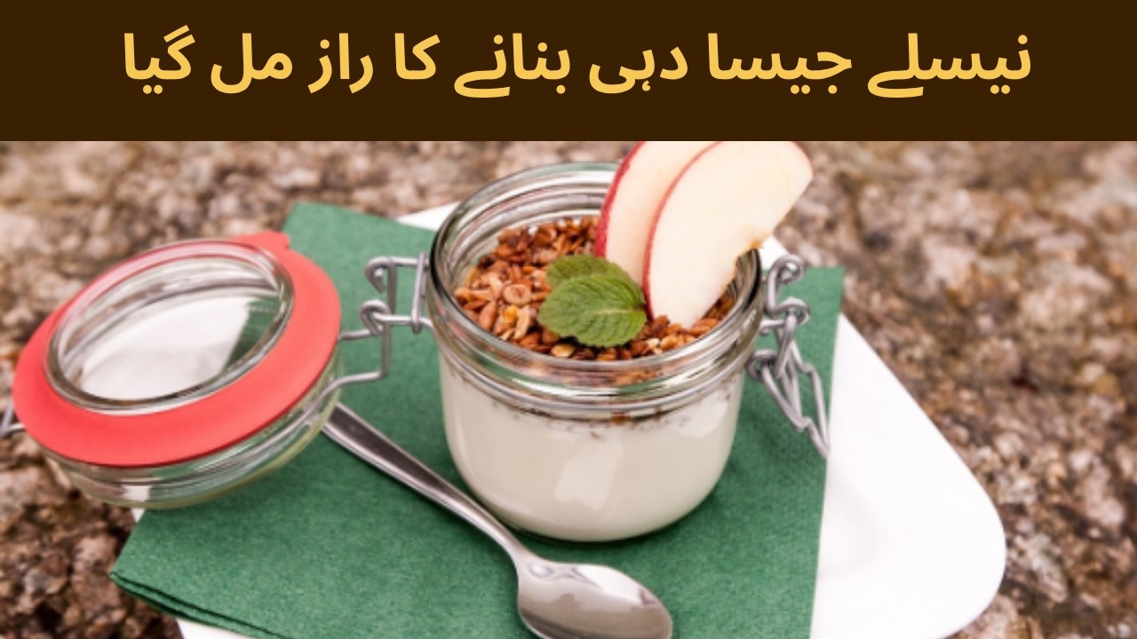 Winter yogurt tips | homemade yogurt tips |  Home and Motivation