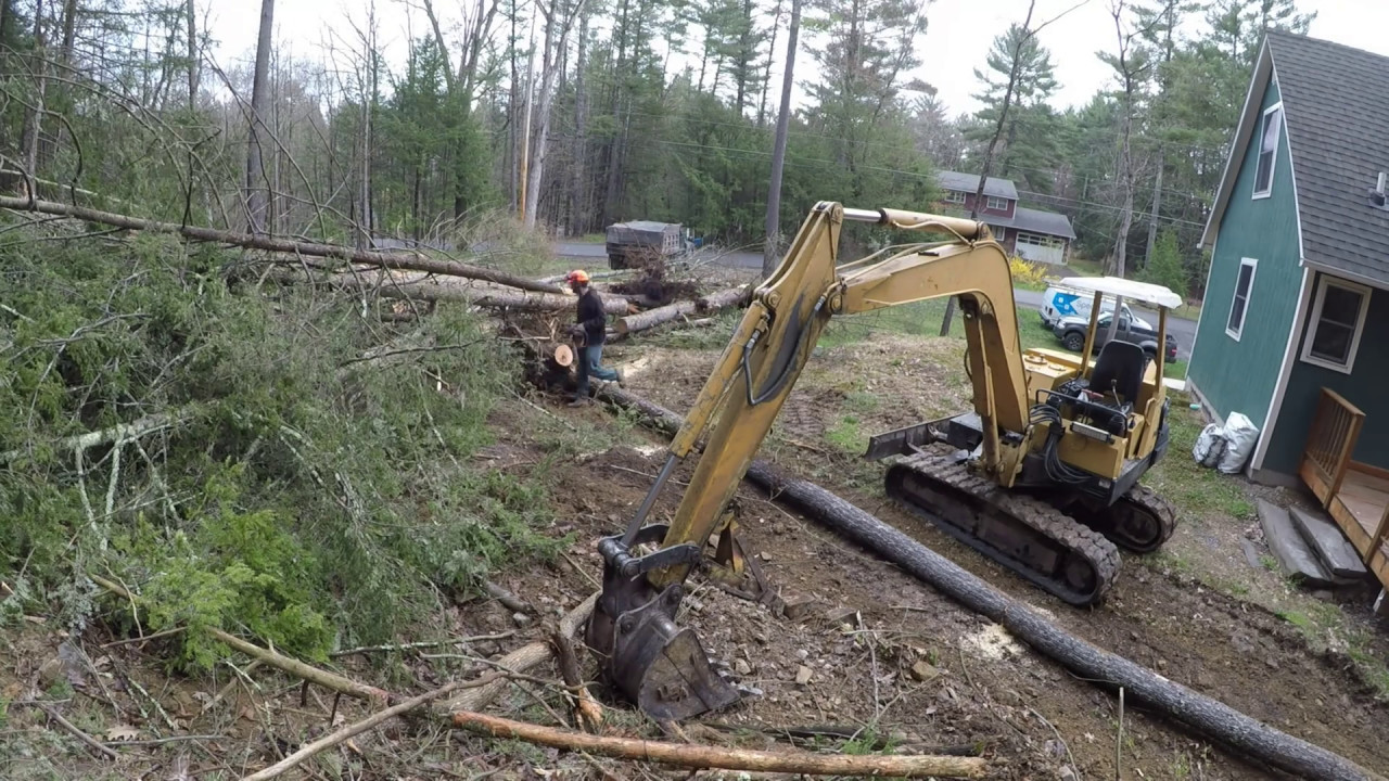 Cutting down trees and grading dirt
