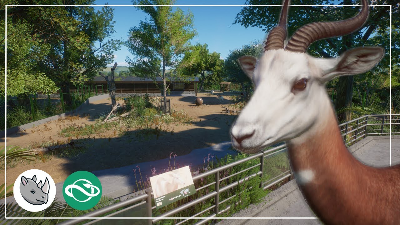 Dama gazelle | One habitat wonder | Speed build | Planet zoo