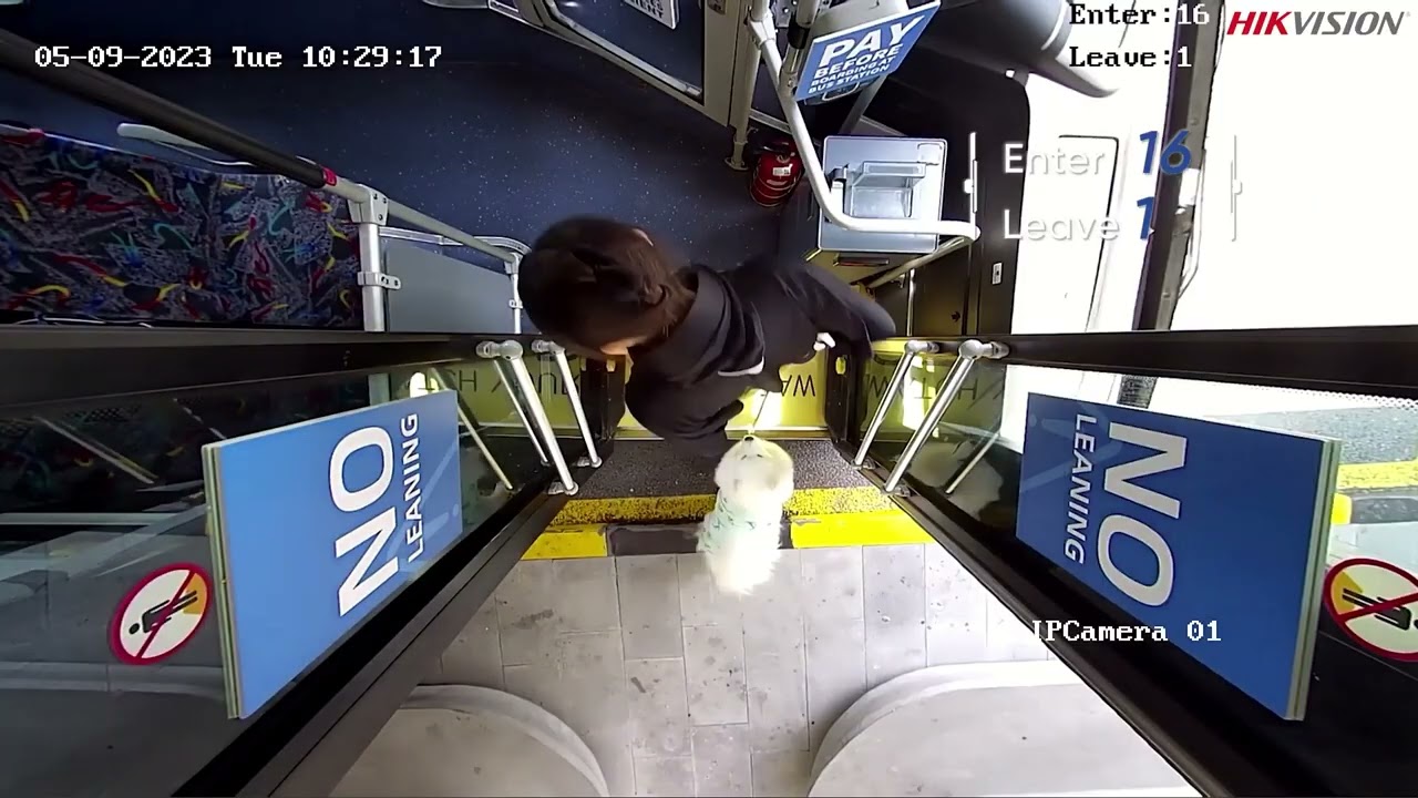 Hikvision Passenger Counting Camera