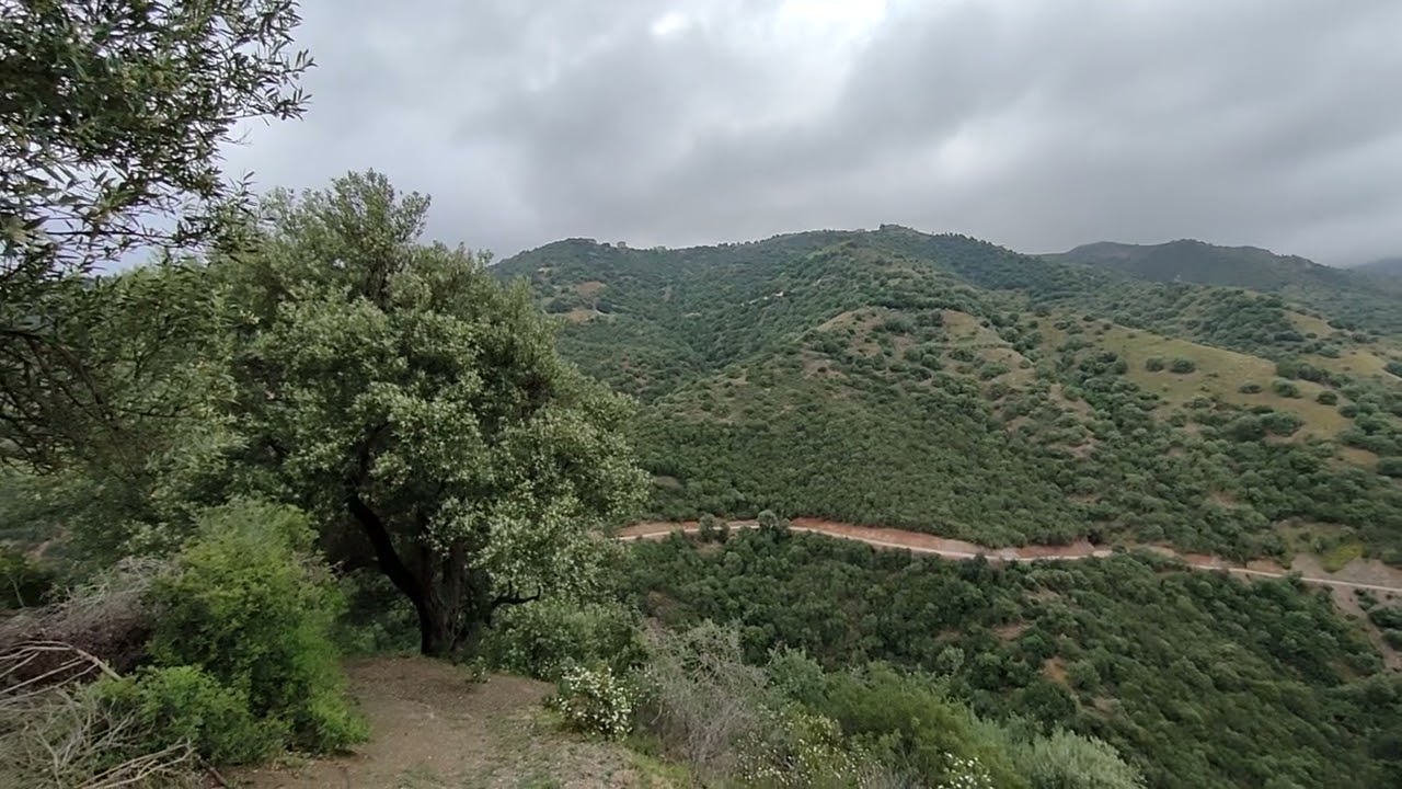 Algérie Kabylie Tizi Gheniff Algeria 2025